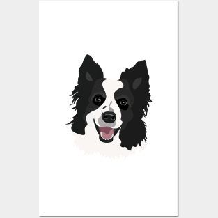 Black and White Border Collie Dog Face Drawing Posters and Art